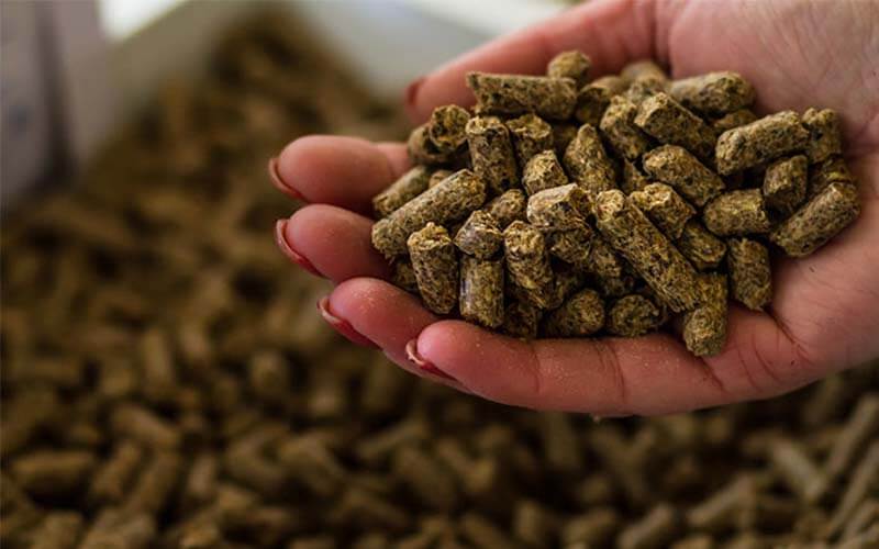 How To Make Feed Pellets For Animal As Well As Poultry