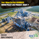 Top 10 Wood Pellet Production Lines in the Global Leaders