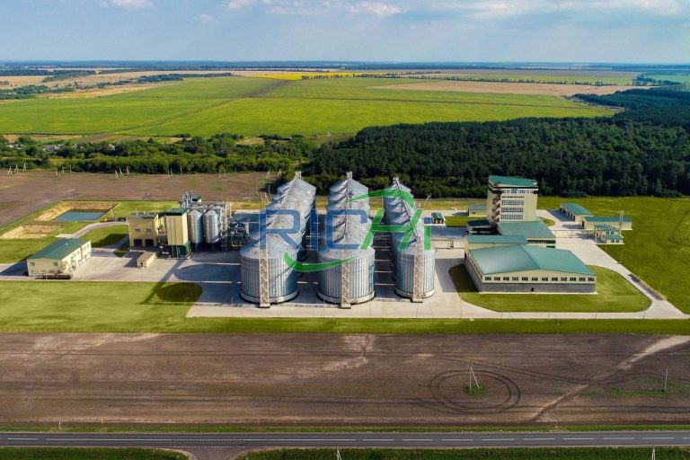 animal feed factory project