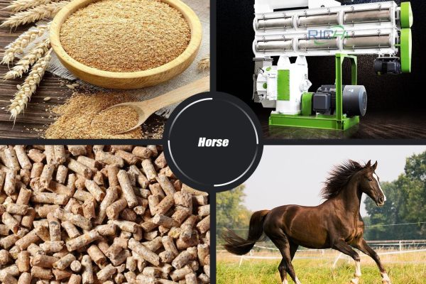 Gallop Towards Success: Choosing the Perfect Horse Feed Pellet Machine! horse feed pellet machine