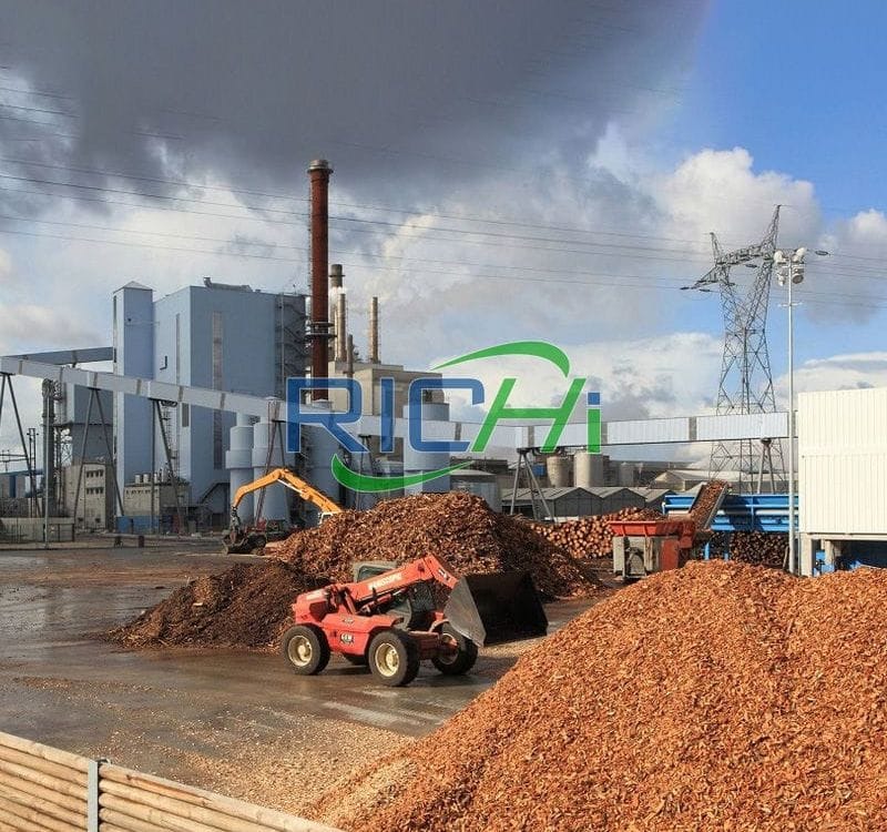 biomass pellet project cost